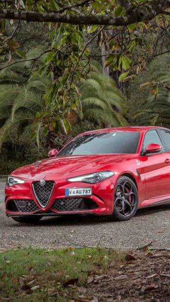 A red Alfa Romeo sports car is parked on a gravel road surrounded by lush greenery, 2K Phone Wallpaper