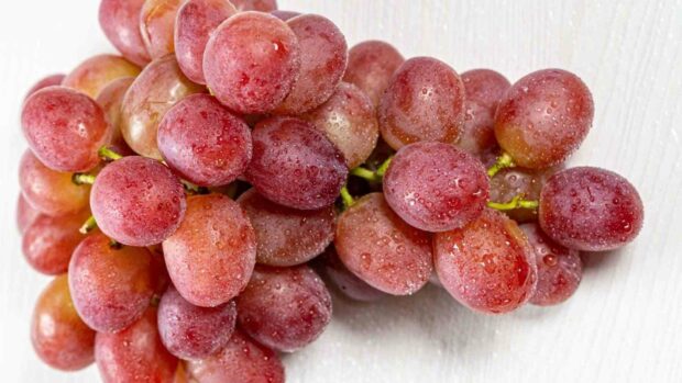 A close up of red grapes covered in water droplets on a light surface, HD Desktop Wallpaper