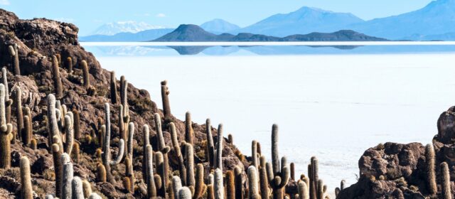 Salar De Uyuni Bolivia Stunning Cactus Landscape with Salt Flats and Mountain Views Wallpaper