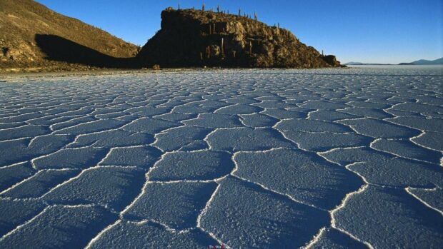 The salt flats in Bolivia stretch under a clear blue sky with a rocky hill covered in cacti in the background, HD Desktop Wallpaper