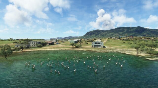 Scenic Lake Malawi View With Flamingos And Hillside Homes