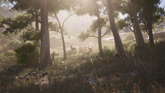 Scum Game Forest Wallpaper Deer In Sunlit Woods Scene