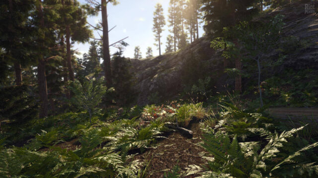 Scum Game Forest Wallpaper Lush Green Wilderness Scene