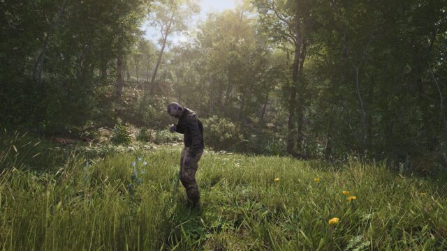 Scum Game Wallpaper Lush Forest Scene With Survivor