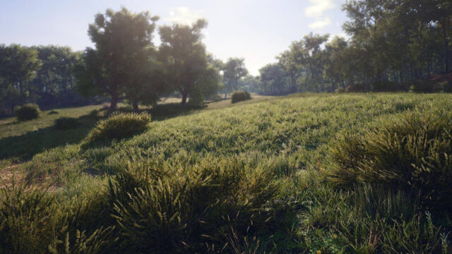 Serene Forest Landscape In Scum Game Wallpaper