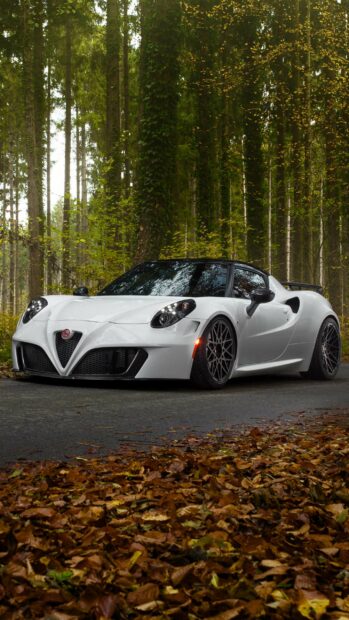 A white Alfa Romeo is parked on a road surrounded by tall trees and fallen autumn leaves, 2K Mobile Wallpaper