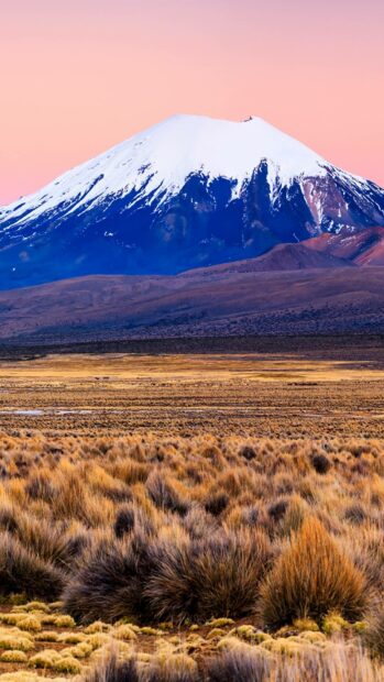 A snow capped mountain rises above dry grasslands during sunset in Bolivia, HD Phone Wallpaper