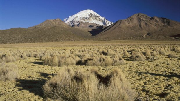 A snow capped mountain rises above dry grassland in the Bolivian highlands, HD Desktop Wallpaper