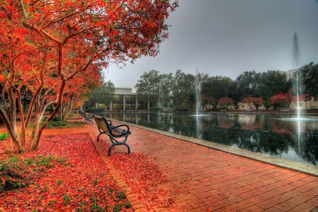 South Carolina autumn park with red foliage benches and fountains by the water