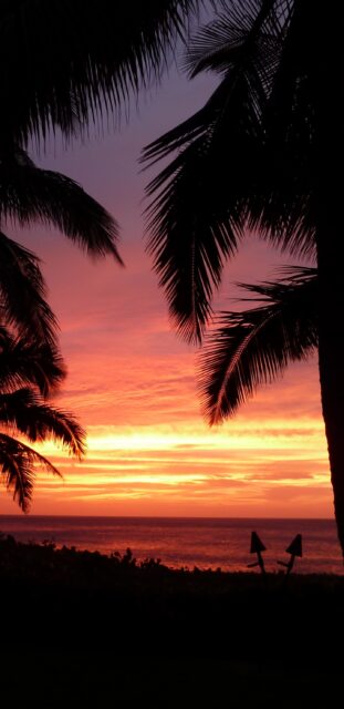Stunning Hawaiian Sunset Over Ocean With Palm Silhouettes