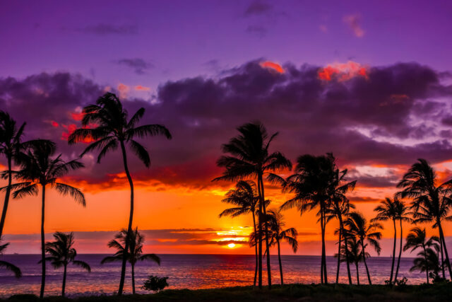 Stunning Hawaiian Sunset Over Palm Trees And Ocean View