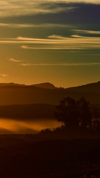 The sunset over the hills in Algeria creates a warm and peaceful atmosphere with silhouetted trees and soft clouds in the sky, 4K Mobile Wallpaper