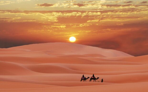 Two riders on camels crossing Algeria desert at sunset, HD Desktop Wallpaper
