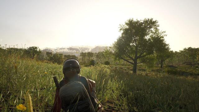 Survival Landscape In Scum Game Wallpaper View
