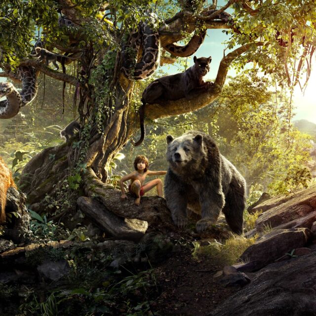 The Jungle Book Movie Wallpaper Featuring Mowgli Baloo and Jungle Animals in Lush Forest Scene
