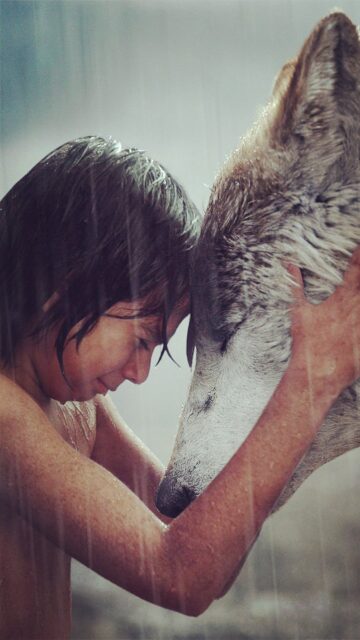 The Jungle Book Movie Wallpaper Mowgli Connecting with Wolf in Rain Scene