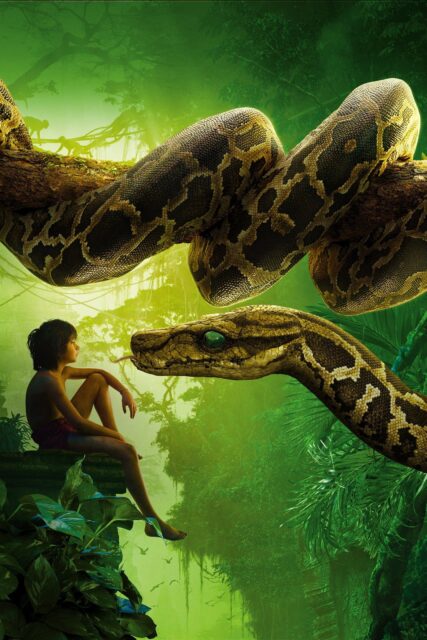 The Jungle Book Movie Wallpaper Mowgli Facing Kaa the Python in the Jungle