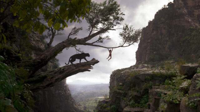 The Jungle Book Movie Wallpaper Mowgli Hanging from Tree Branch with Panther in Jungle Scene