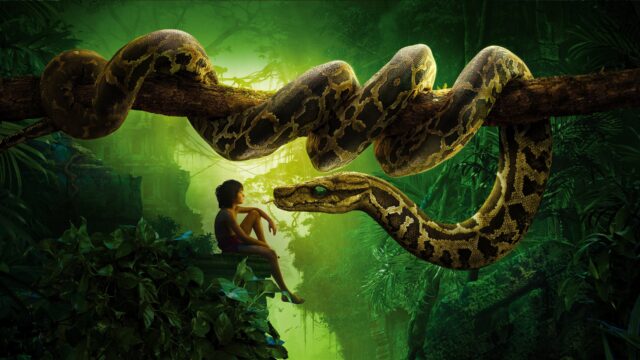 The Jungle Book Movie Wallpaper Mowgli Sitting Near Kaa Snake in Jungle Scene