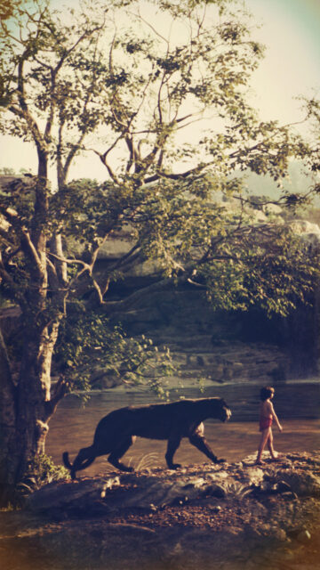 The Jungle Book Movie Wallpaper Mowgli Walking with Panther Bagheera in the Jungle
