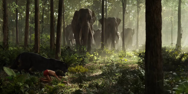 The Jungle Book Movie Wallpaper Mowgli and Bagheera Facing Elephants in the Forest
