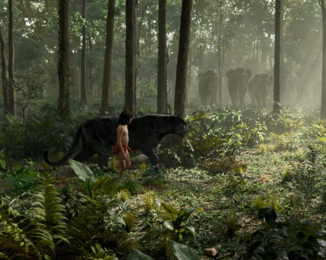 The Jungle Book Movie Wallpaper Mowgli and Bagheera with Elephants in the Forest