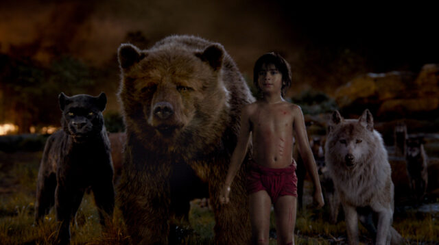 The Jungle Book Movie Wallpaper Mowgli with Baloo Bagheera and Wolves in the Jungle