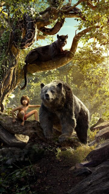The Jungle Book Movie Wallpapers Mowgli with Baloo Bagheera and Kaa in Jungle Scene