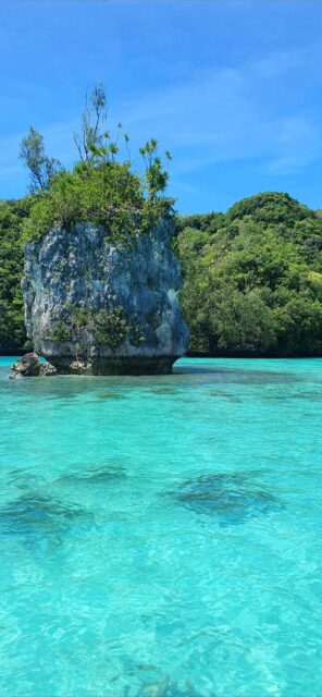Tropical Paradise Of Palau Crystal Clear Waters And Lush Greenery