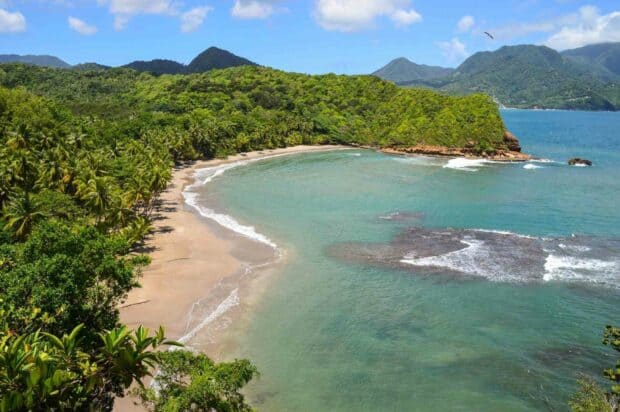 A scenic tropical coast with lush green hills and clear blue water in Dominica Wallpapers, HD Desktop Wallpaper