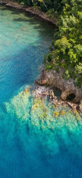 The clear waters reveal coral reefs near the lush green coast of Dominica, 2K Phone Wallpaper