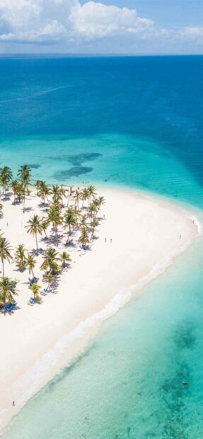 Aerial view of a tropical island with palm trees and turquoise water in Dominica Wallpapers, 2K Phone Wallpaper