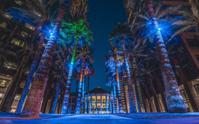 Vibrant Night Palms In Downtown Phoenix Arizona Wallpaper