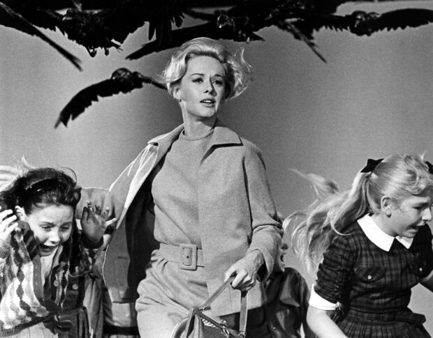 A woman and children are running away from attacking birds in this Alfred Hitchcock scene, HD Desktop Wallpaper