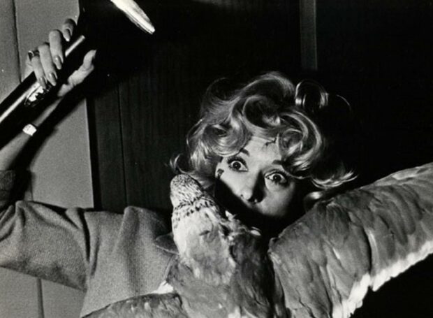 A woman holds a bird while raising a broom in a tense moment from Alfred Hitchcock Wallpapers, HD Desktop Wallpaper