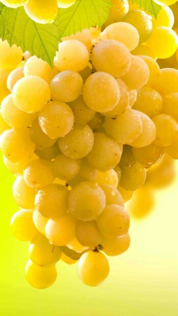 A close up view of yellow grapes covered in water droplets with green leaves in the background, 4K Mobile Wallpaper
