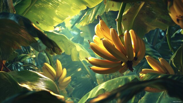 banana desktop wallpaper HD, highly detailed bananas in a tropical setting with lush green leaves and bright lighting.