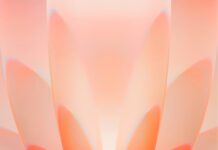 This image presents an abstract orange floral design suitable for iPhone 17 wallpapers, 4K iPhone Wallpaper