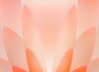 This image presents an abstract orange floral design suitable for iPhone 17 wallpapers, 4K iPhone Wallpaper