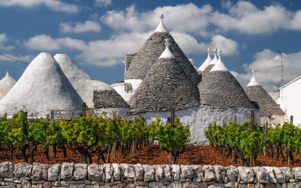 Traditional Alberobello trulli houses with green vineyard under a blue sky, 2K Desktop Wallpaper