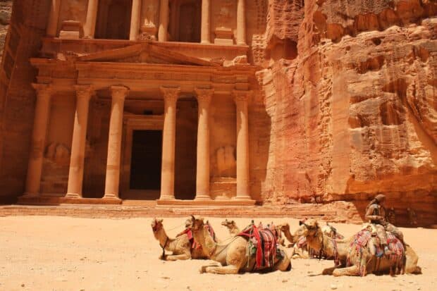 A group of camels resting near the ancient rock cut architecture of Petra in Jordan, HD Desktop Wallpaper