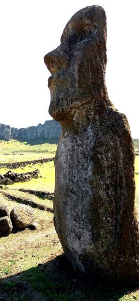 A large moai statue stands on Easter Island with grassy fields and cliffs in the background, 2K Phone Wallpaper