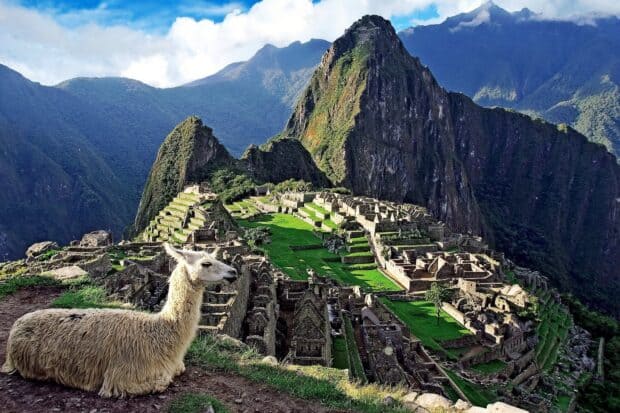 A llama rests near ancient ruins surrounded by mountains in Peru, HD Desktop Wallpaper