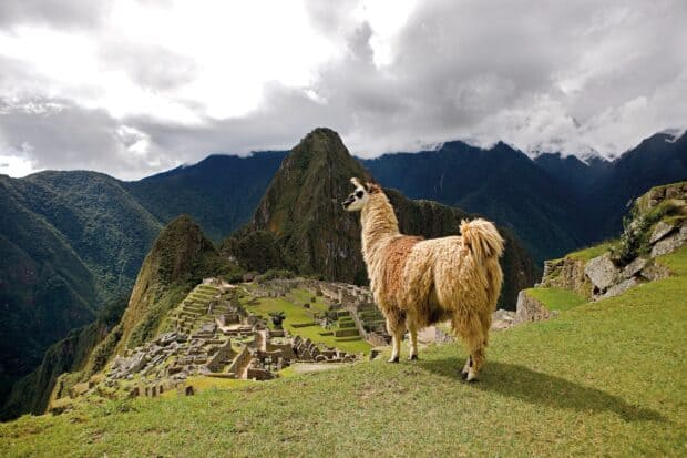 A llama stands overlooking the ancient ruins surrounded by mountains in Peru, 2K Desktop Wallpaper