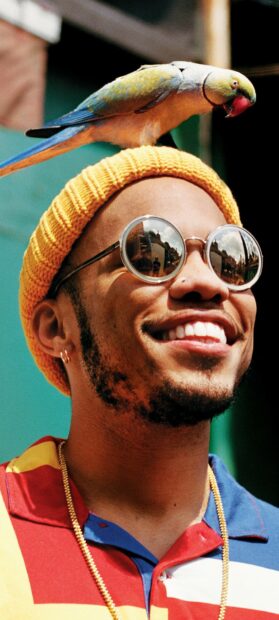 A man wearing sunglasses and a colorful shirt with a parrot on his head enjoying the moment, HD Phone Wallpaper