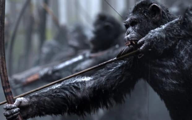 An angry ape prepares to shoot an arrow in Planet Of The Apes Wallpapers, 2K Desktop Wallpaper