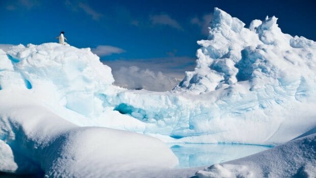 A penguin stands atop a bright blue glacier under a clear sky, HD Desktop Wallpaper