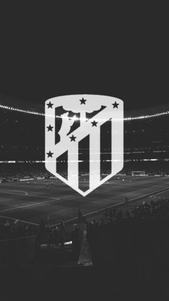 A stadium scene with Atletico Madrid emblem prominently displayed over the field, HD Mobile Wallpaper