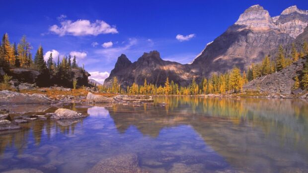 The calm lake reflects the autumn trees and rocky peaks in Rocky Mountain National Park, 2K Desktop Wallpaper