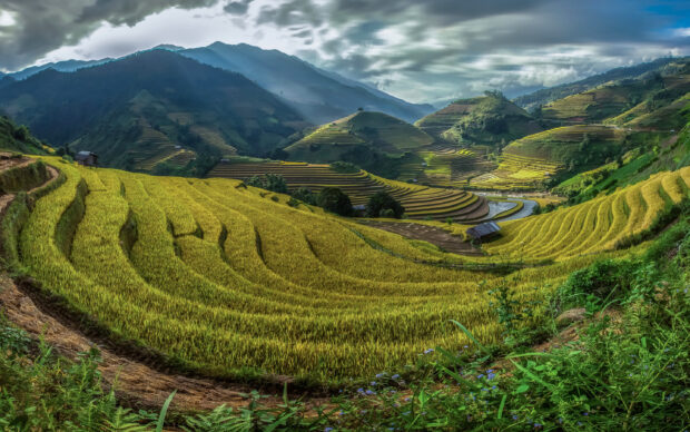A scenic view of Banaue rice terraces under a cloudy sky in the mountains, 2K Desktop Wallpaper